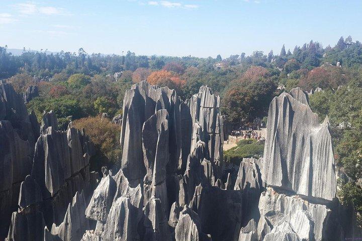 Excursion d'une journée privée: Kunming Highlight of Stone Forest