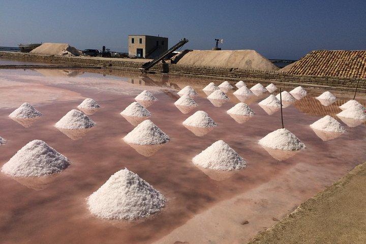 西シチリア島からエリチェへのベストエクスカーション、パレルモからのトラパニソルトフラッツ