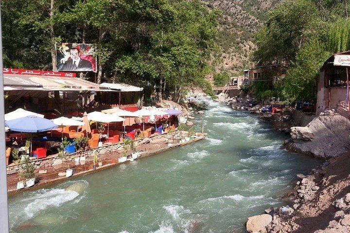 Da Marrakech: gita di un giorno alle montagne dell'Atlante della valle di Ourika
