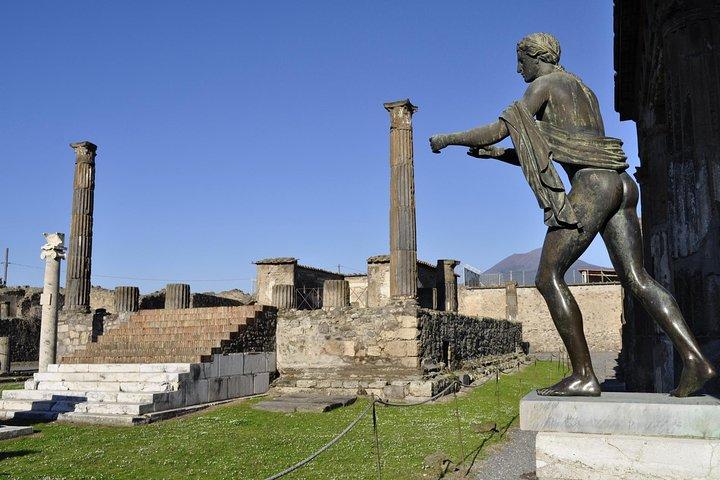 Half Day Morning Tour of Pompeii från Sorrento