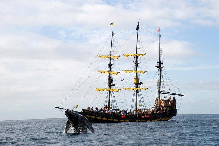 Whale-Watching Pirate Ship Cruise i Los Cabos