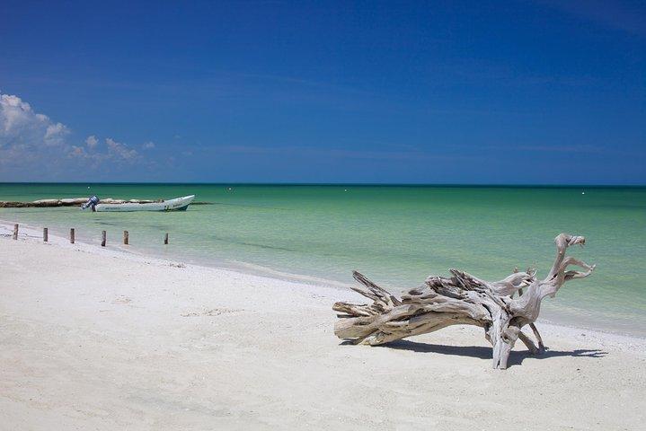 HOLBOX ISLAND TOUR - fra Holbox (Privat)