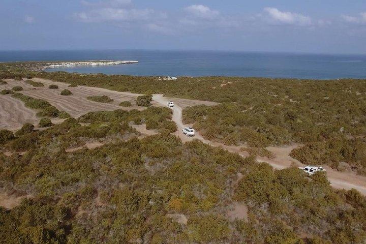 パフォス発アカマス半島クルーズおよび4×4サファリツアー