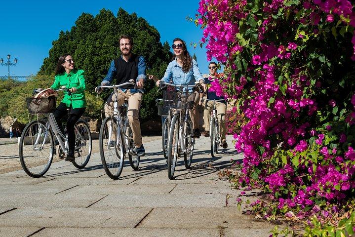 Sevilla Hoogtepunten Fietstour om 9.00 en 10.00 uur (Engels)