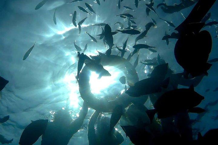PADI Rescue Diver Course