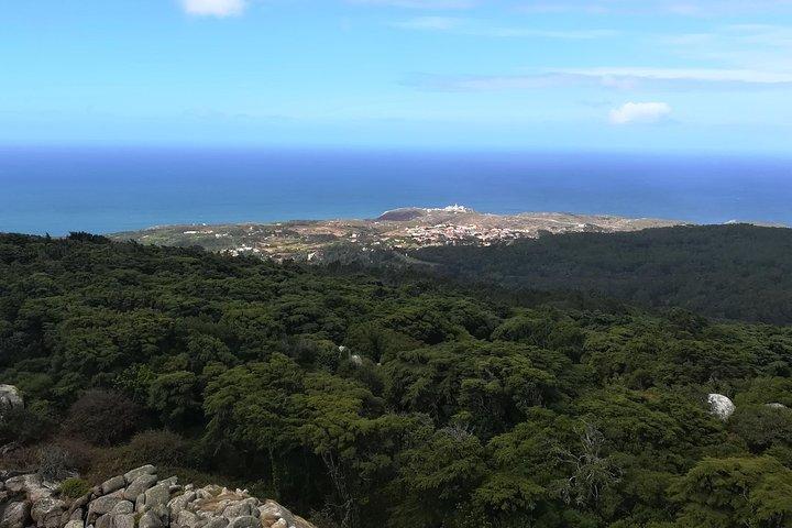 Randonnée privée d'une demi-journée dans le parc naturel de Sintra-Cascais