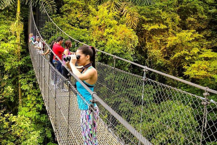 Arenal Hanging Bridges and Hot Springs Private Tour from San Jose