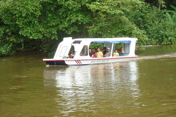 Canal de Tortuguero e Parque Cahuita. Excursão em Limon
