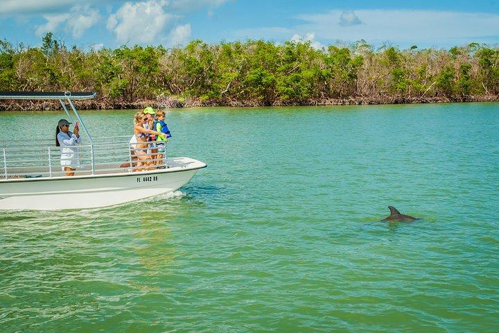 Marco Island Dolphin Sightseeing Tour
