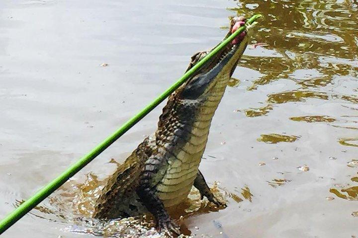 Ecuador Treasures Bucket List 8 dages tur