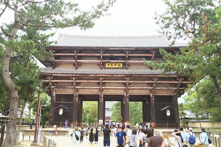 Fushimi Inari & Nara Highlights Walking Tour