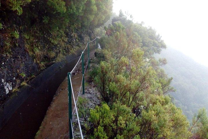 Privat overførsel til Levada do Alecrim - Rosemary Levada (let)
