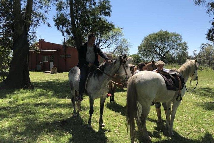 1.5 hr Cabalgata Montevideo, Uruguay, con transporte