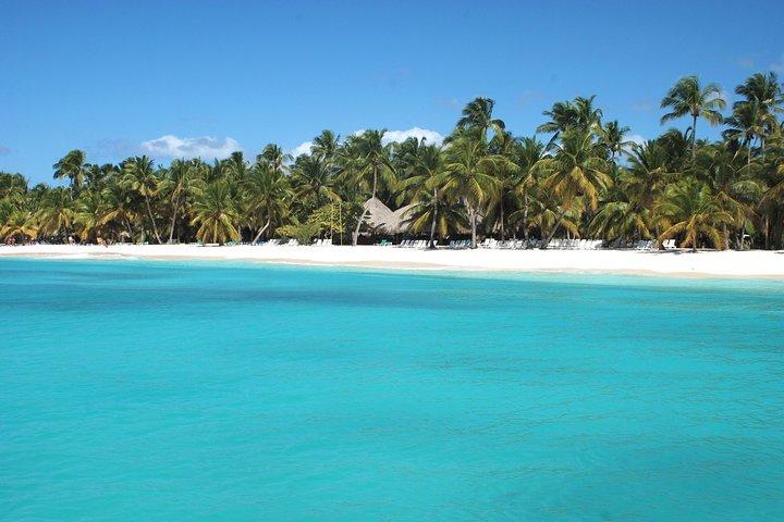 Saona Island Tagesausflug von Punta Cana mit Mittagessen und Open Bar