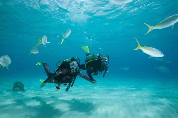 Duikervaring voor beginners in Gran Canaria