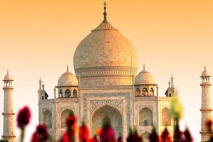 Dialog mit einem Historiker über Mughal-Architektur bei einem Tee