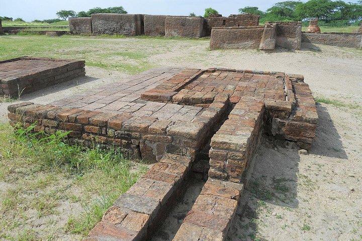 Esplora Lothal e Uthellya da Ahmedabad con pranzo