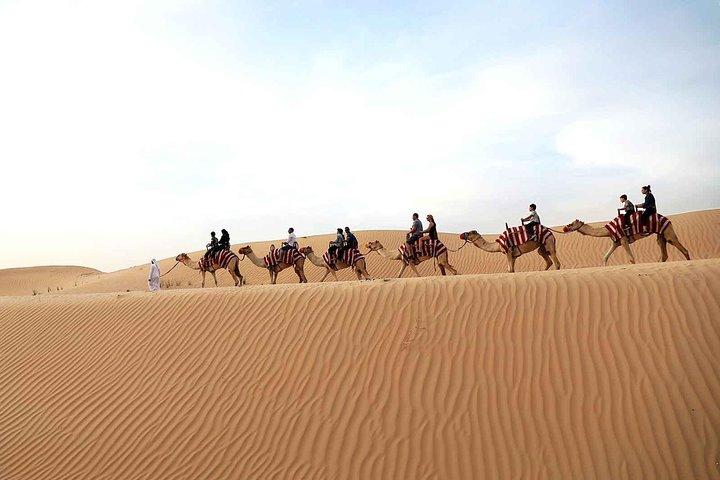 Dubai Morning Red Dunes avec chameau Safari & Sandsurf