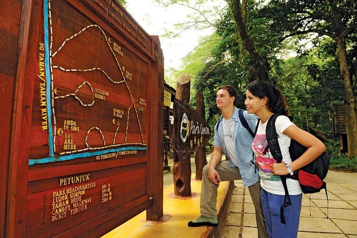 Amazing Taman Negara Day Trip from Kuala Lumpur Including Lunch
