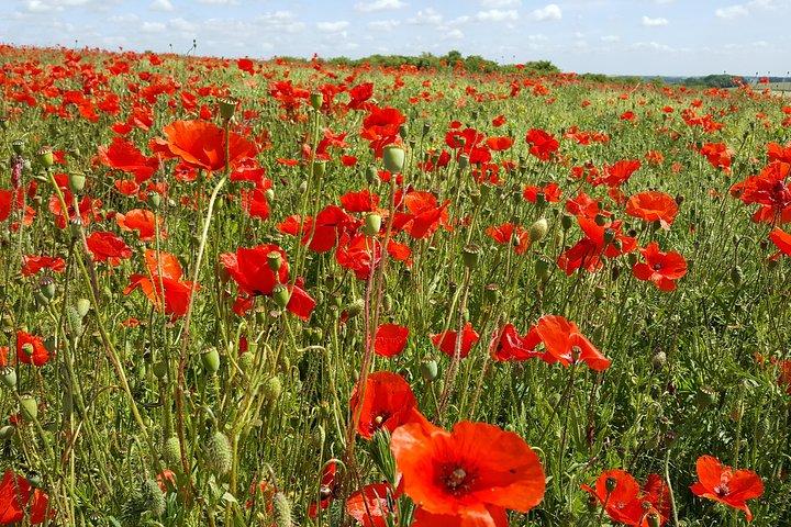 アラスまたはリールからのプライベートカナダWW1ビミー&ソンム戦場ツアー