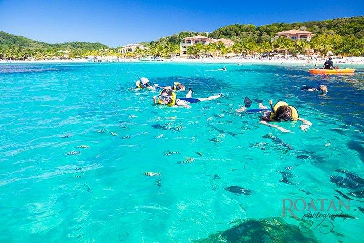 Roatan Ausflug: Beach Break / Plus Sloth Park und Schnorchelabenteuer