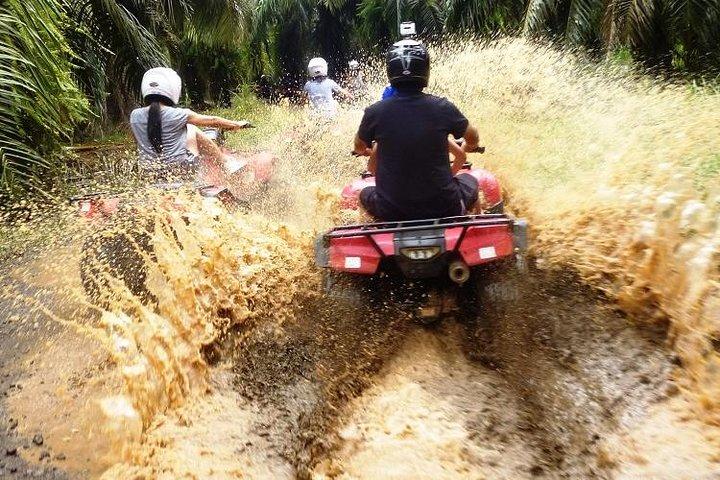 ATV & baldakin tur fra Flamingo Beach