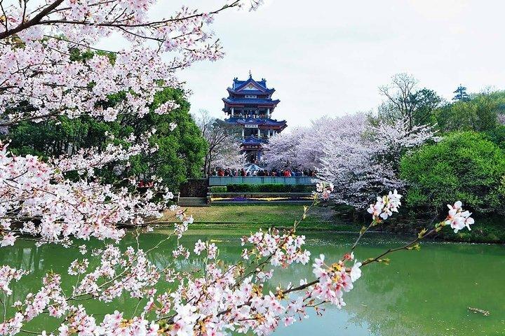 Tour privato flessibile di Wuxi da Shanghai con Bullet Train