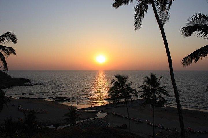 Walk Through the Ruins of Old Goa (2 Hours Guided Walking Tour)