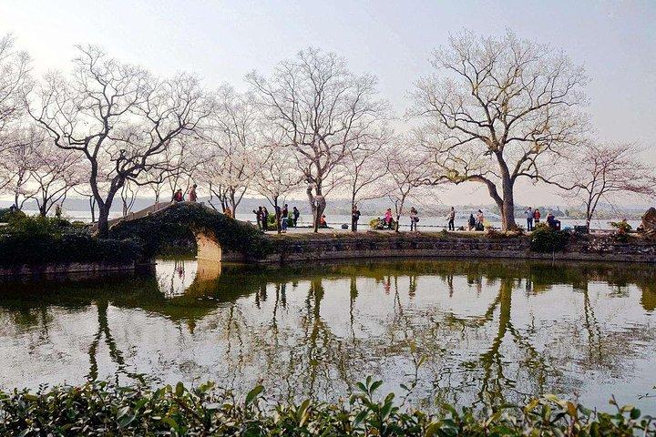 Tour privato flessibile di Wuxi da Shanghai con Bullet Train