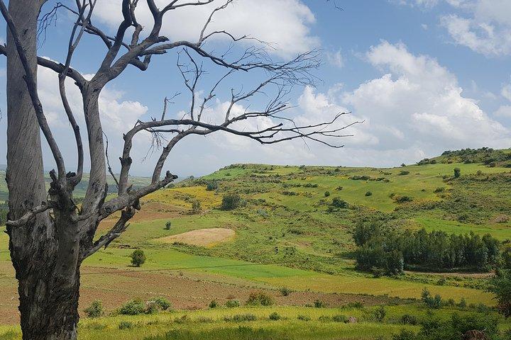 Debre Libanos MonasteryとJemma River Gorge - アディスアベバからの日帰りツアー
