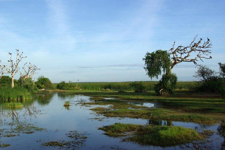 Parc national de Bundala par Ajith Safari