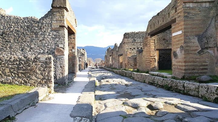 Fast Access Exclusive Private Ancient Pompeii Half Day Tour with Local Guide