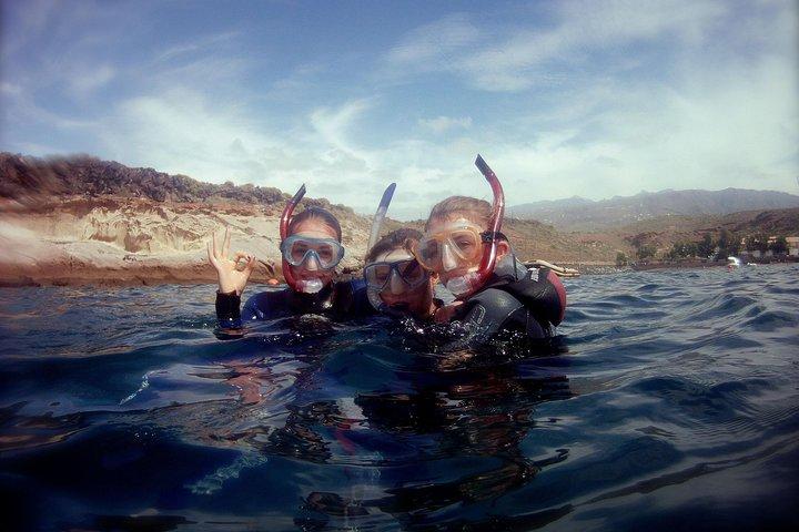 Safari de snorkel en una zona de tortugas