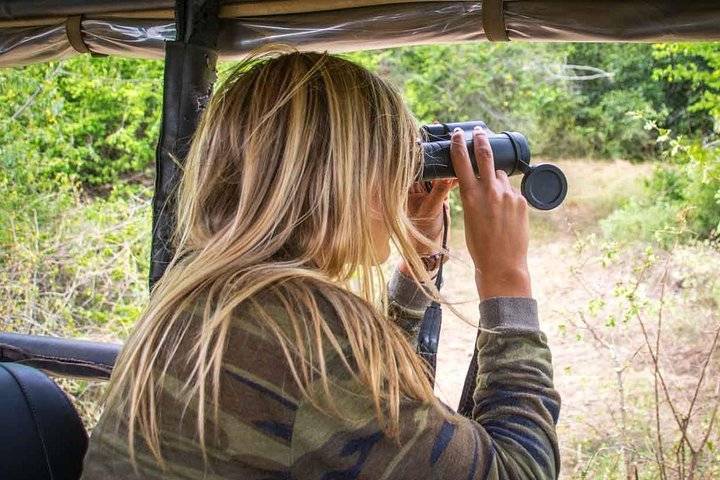 Yala safari, Colombo