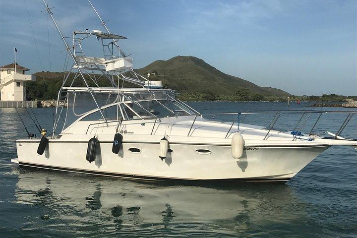 Halvdags Big Game Fishing privat charter
