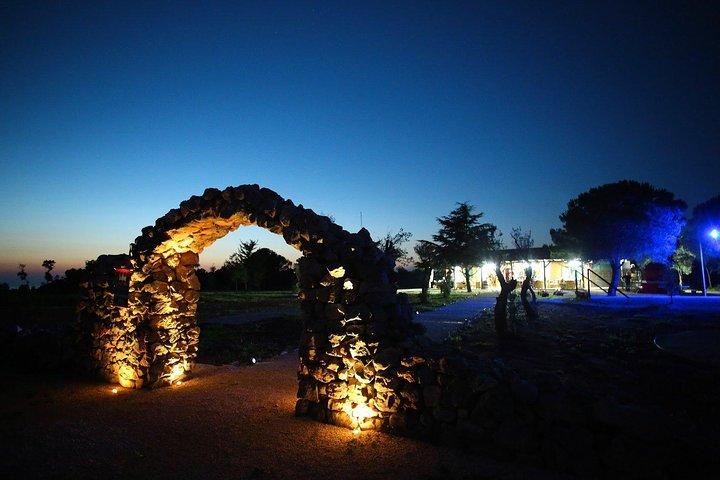 プライベートツアー:ザダルからのニンとロイヤルブドウ園