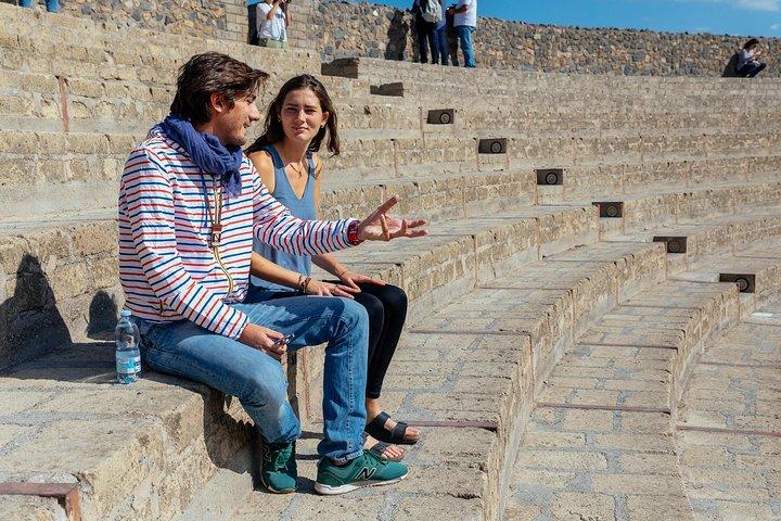 Pompeya TOUR PRIVADO Con Locales : Ticket & Guía Incluido