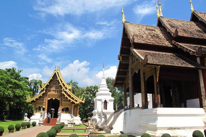Halvdags Chiang Mai bytempler og museumstur - gruppe eller privat