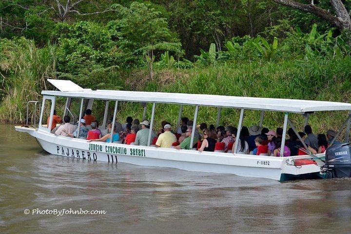 Palo Verde Wildlife Tour from Tamarindo