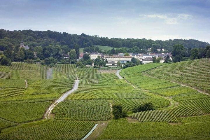 Privédagtocht naar de streek Champagne vanuit Parijs