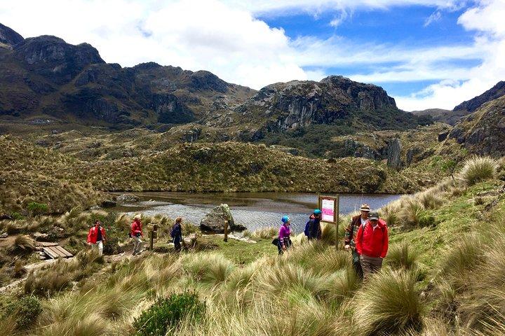 Ultimative Cajas National Park fuld dag eventyr med lokale ekspert