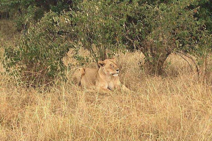 Lake Nakuru National Park Day Tour