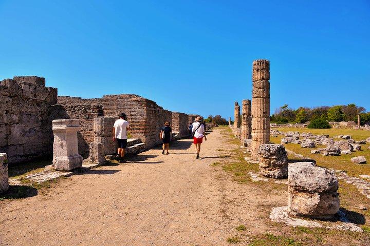 Paestum: tour privato dei Templi Greci e del Museo Archeologico