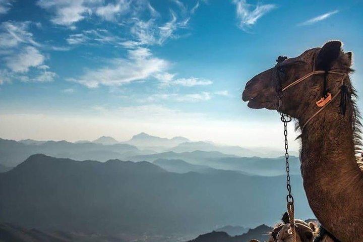 Escalada do Monte Sinai e Excursão Particular St. Catherine