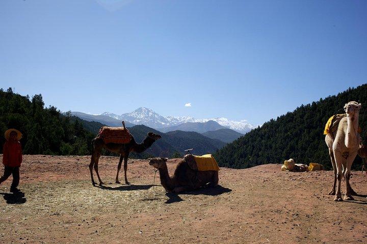 Ourika Valley Full-Day Trip with Lunch