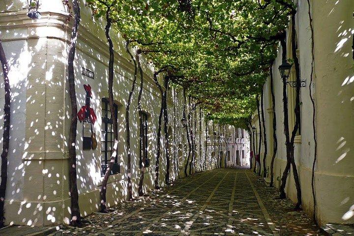Cadiz e Jerez dia de viajem desde Sevilha