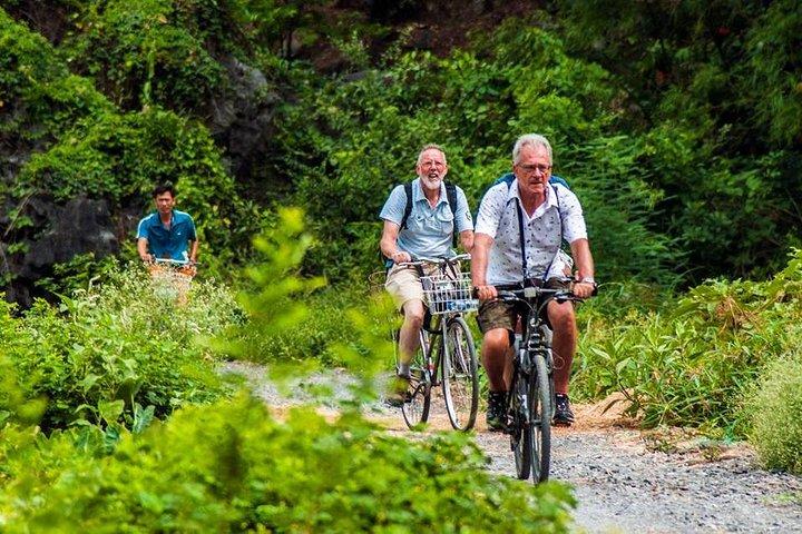 Ninh Binh Tour Hoa Lu Tam Coc Journée complète: vélo, bateau, billets, déjeuner, limousine