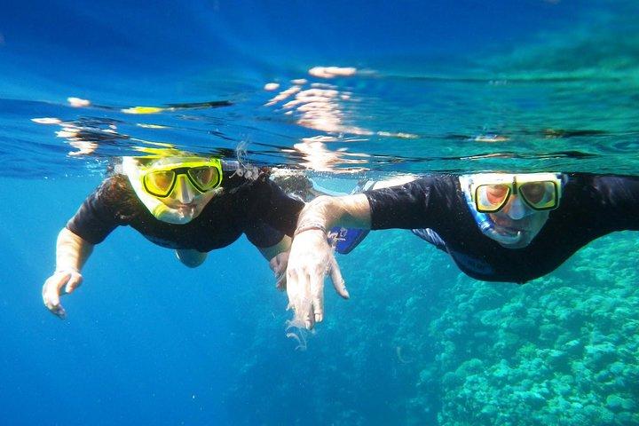 Dahab Safari de Sharm-el-Sheikh incl. Mergulho com snorkel e camelo