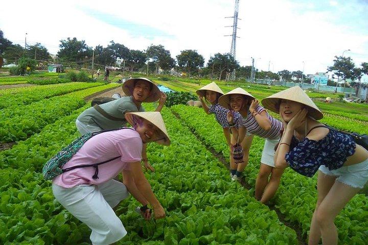 Hoi An Countryside - Buffalo Riding - Basket Boat Rowing