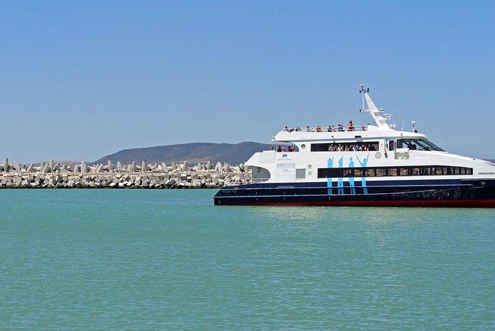 Pad naar vrijheid: Apartheid & Township Tour met privétransfers